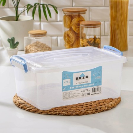 Food container Ricco, 9.75 l, 37.5 × 25 × 14 cm, rectangular, transparent color, blue-1