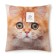 Decorative Ethel Pillow "Golden Chinchilla" 40x40 cm, Gabardin, 100% p/e