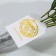 Bouquet-fool "Freshness", 7 pcs., Roses