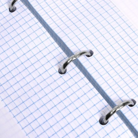 Notebook on rings, 160 sheets in the “Arbuziki” cage, hard cover, glossy lamination, with a change of block-9