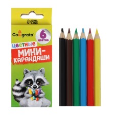Pencils 6 flowers mini, in a cardboard box