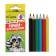 Pencils 6 flowers mini, in a cardboard box