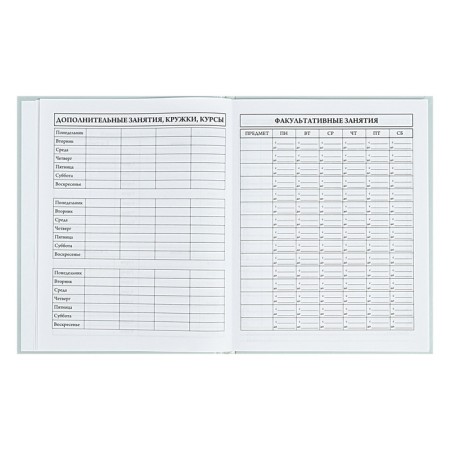 Universal Diary 5-11 classes, 48 ​​sheets "there is", matte lamination, a solid cover, a UV-lace, block 65 g/m2-6