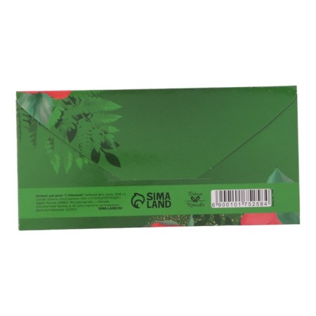 A set of envelopes for money "Classic" 10 pieces-7
