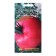 Seeds Tomat "Dakost Portugal", 5 pcs