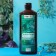 Hair shampoo with nettle extract, 500 ml, beauty pantry