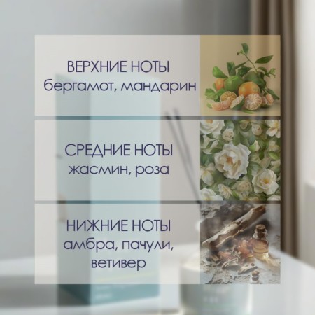 Diffusor "HYGGE" aromatic, 50 ml, absinthe-1