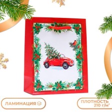 Gift package 