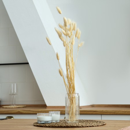 Dry -flowers "Lagurus", set of 30 pcs., White color