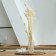 Dry -flowers "Lagurus", set of 30 pcs., White color