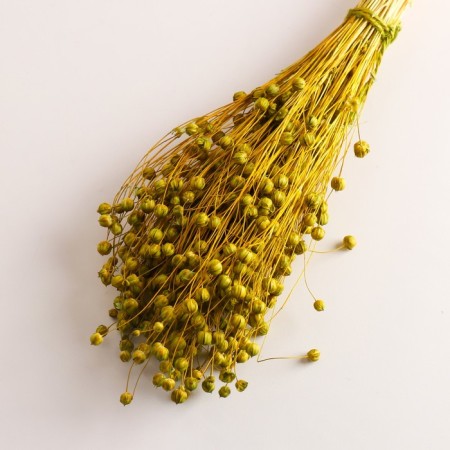 A set of dried flowers "Lenon-long", banch length 55-60 (+/- 6 cm), green-2