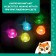 Musical toy "Sweet friend: Fox"