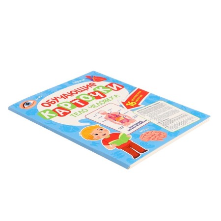 Training cards "Human Body"-2