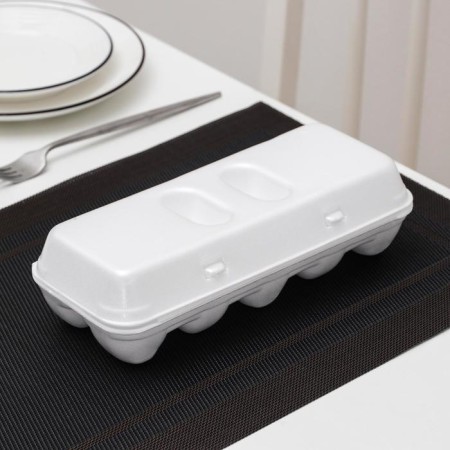 A disposable container for eggs, 10 seats, 24.6 × 22.9 × 3.95 cm, white color-2
