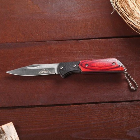 Folding "hunter" 15.8 cm, blade 72mm/1.8 mm, with a chain-3