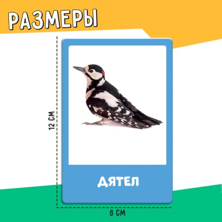 Developing set "Migratory and wintering birds"-4