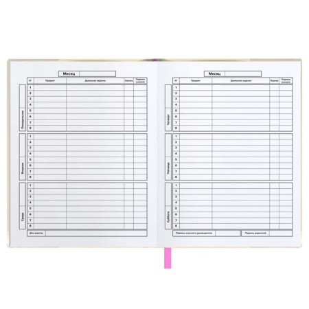 School diary for grades 1-11 "Candy Cat", soft cover, PVC, foil embossing, removable cover, 48 sheets, offset block 80g/m2, universal cheat sheet-5