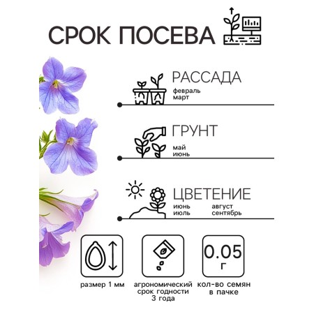 Lobelia flowers "sapphire" ampel, o, 0.05 g-2