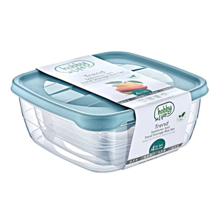 A set of food containers Hobbylife Trend, 4 pcs, color mix