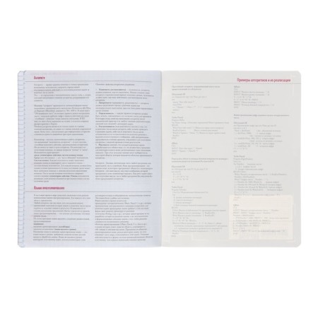 A notebook “Belarbudni”, 48 sheets in the cage “Informatics”, cardboard cover, SoftTouch lamination-5