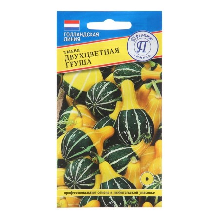 Decorative pumpkin seeds "DVH -color pear", 3 pcs