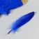 A set of goose feathers is 15-20 cm, 10 pcs, blue with a golden crumb