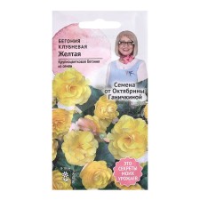 Club flower seeds 