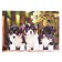 Puzzles "Funny puppies No. 2", 104 elements