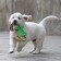 Chewing toy with rope, 11 x 5.5 cm, green