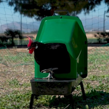 Nest for chickens of layers of plastic with an egg plate on the legs-4