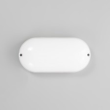 Oval lamp LED 20W IP65 white 6.8x13.5x27 cm