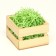 Filler with silence, light green, 50 g
