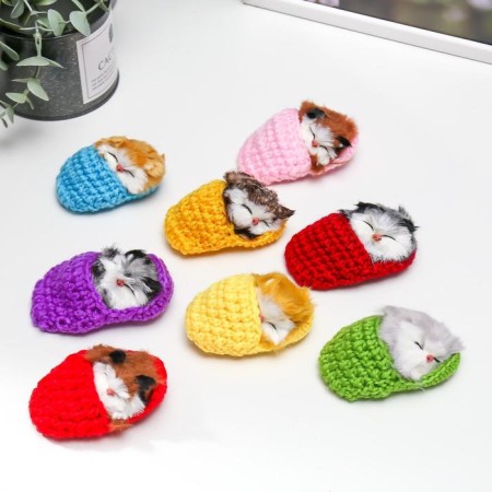 Fluffy cat in a slipper, mix-2