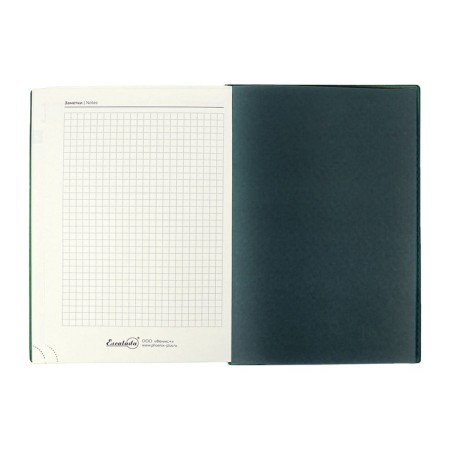Dated 2025 diary, Escalada, A5+ 176 sheets, integral cover, artificial leather, foil embroidery, lies, block 80 g/m2, green block-13
