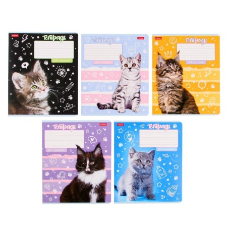 A notebook of 24 sheets in the "Ears on the crown" line, cover coated cardboard, rounded corners, block 65, 5V, mix