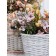Artificial flower "Coreopsis", height 50 cm, light-lilac color