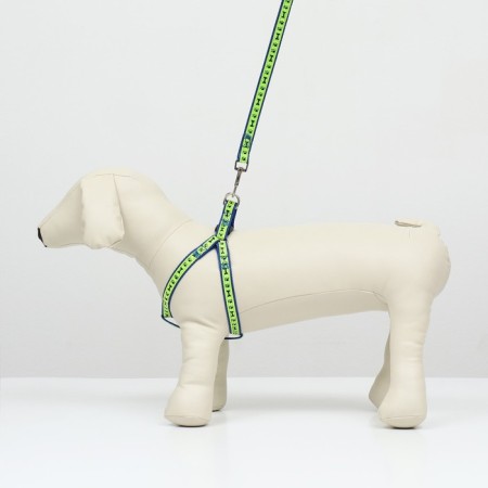 Set "Bones and Paws" reflective, leash 120 x 1.5 cm, OG 36-52 cm, blue-8