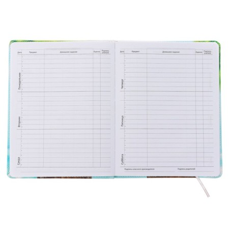 Universal diary for grade 1-11 "Sometimes there is only one way out", solid cover, artificial leather, liesse, 80 g/m2-4