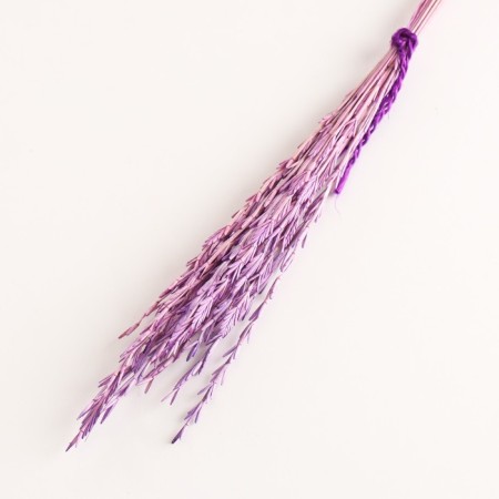 Set of dried flowers "Raigrace", banch 21 pcs, length 60 (+/- 6 cm), lilac-2