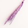 Set of dried flowers "Raigrace", banch 21 pcs, length 60 (+/- 6 cm), lilac