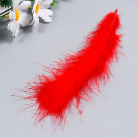 A set of decorative feathers of the Indian "needlework", assorted 1, 20 pcs, pen length 13-16 cm-1