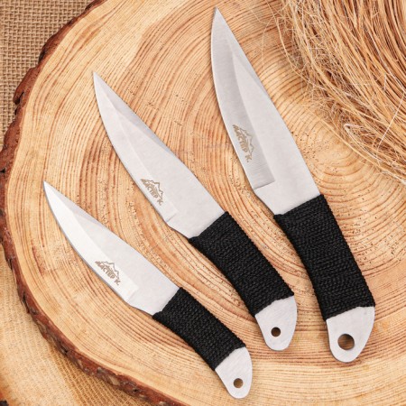A set of throwing knives "Zakari", in a braid, 3pcs.