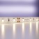 LED tape Maytoni, 12V, IP20, 2835, 7.2W/m, 3000k, 5 m, monochrome glow