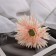 Artificial flowers "chrysanthemum lux" d-11 cm, 40 cm, white-pink