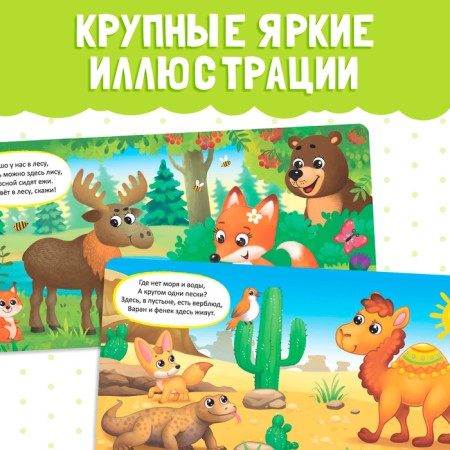 Cardboard book "Animals from all over the world", 10 p.-3