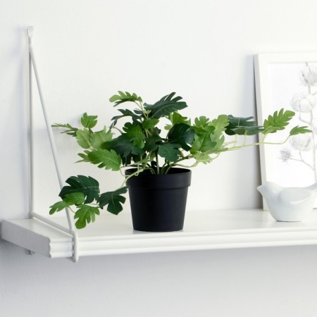 Bonsai in the pot "Fragrant geranium" 18x17 cm
