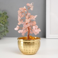 Bonsai souvenir 