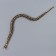 Wooden toy "Snake" 50x1.6x1.6 cm mix