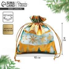 Bag Gift Organza 