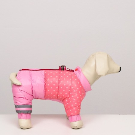 Dogs "Polit", size 20 (DS 43, OG 56, Osh 41 cm), pink-1